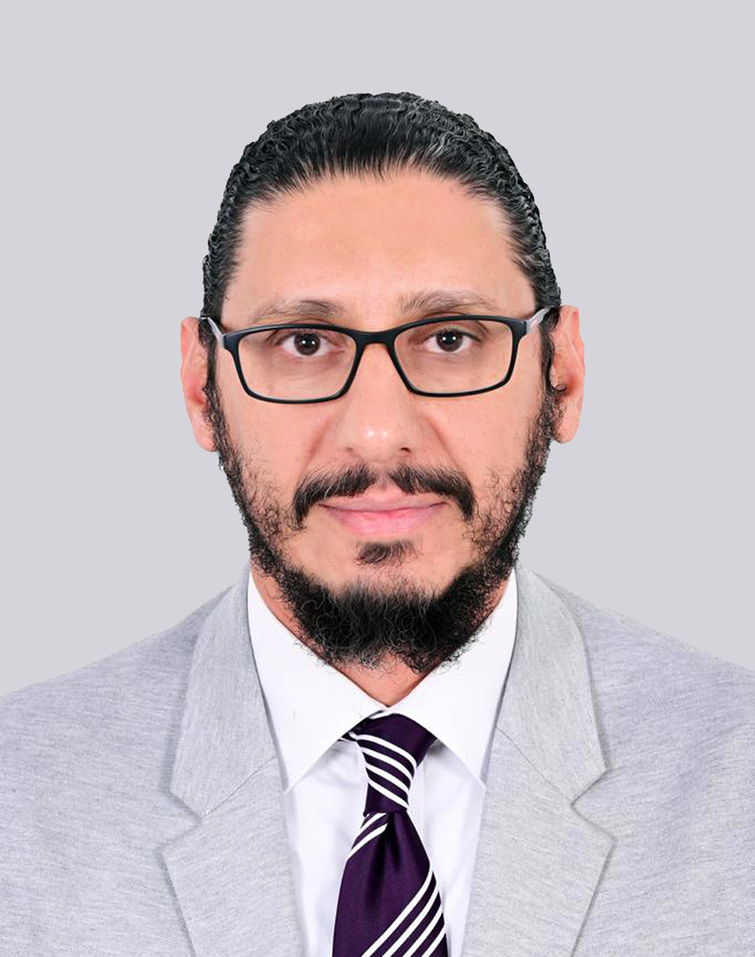 Mr. Walid Ahmed Hegab 